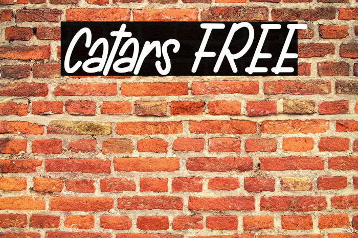 Catars FREE Example 2