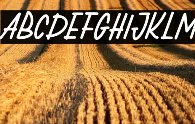 CatarsFREE Example 2