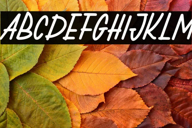 CatarsFREE Example 3