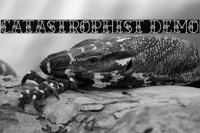 Catastrophist Demo Font examples