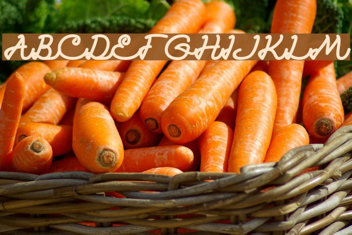 Catatan Harian Bold Font examples