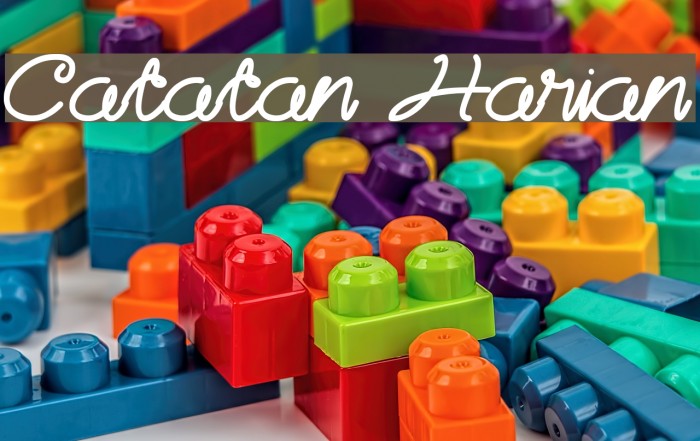 Catatan Harian Example 1