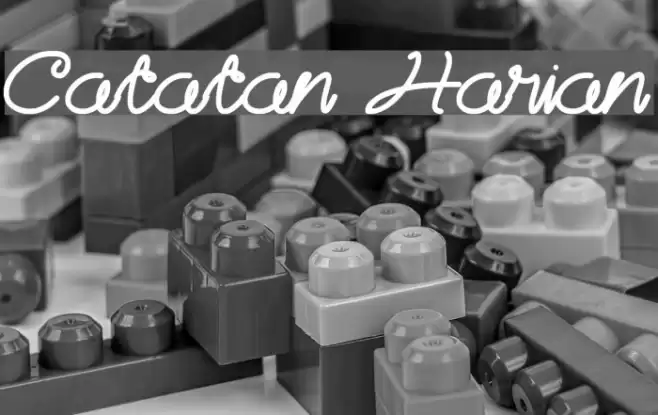 Catatan Harian Font examples