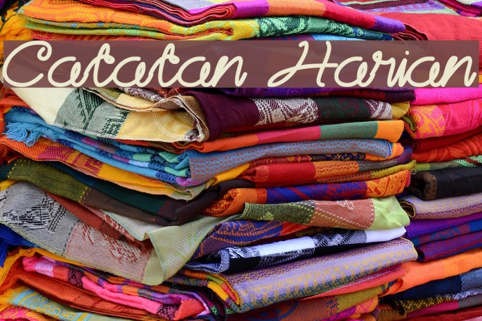 Catatan Harian Example 2