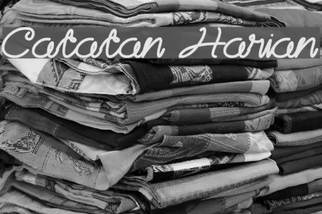 Catatan Harian Font examples