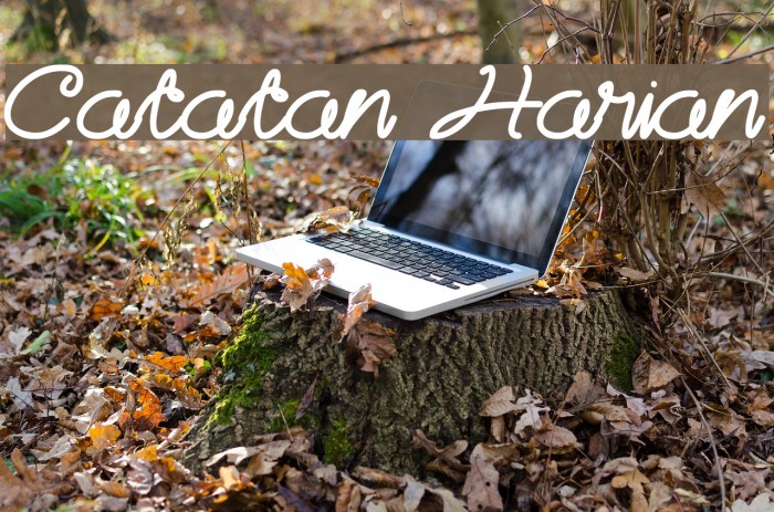 Catatan Harian Example 3