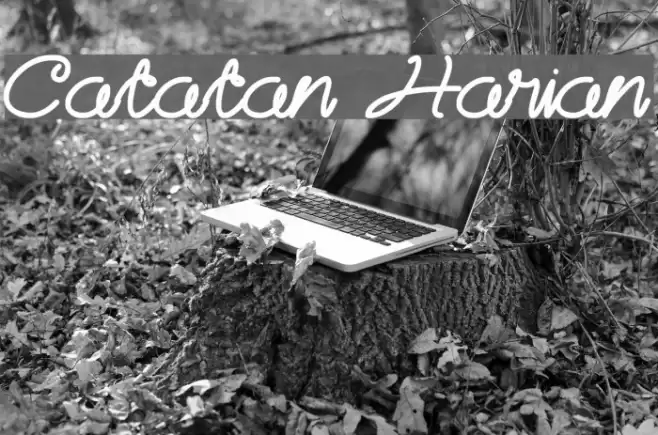 Catatan Harian Font examples