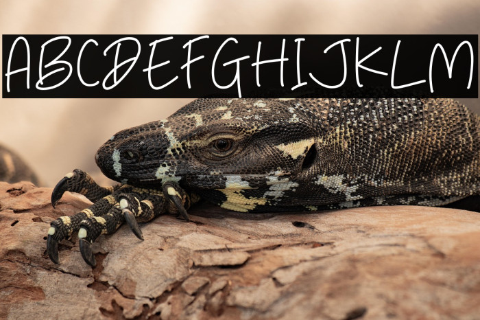 Catatan Mata Example 3