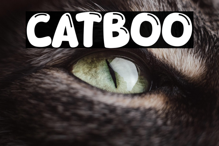 Catboo Example 1