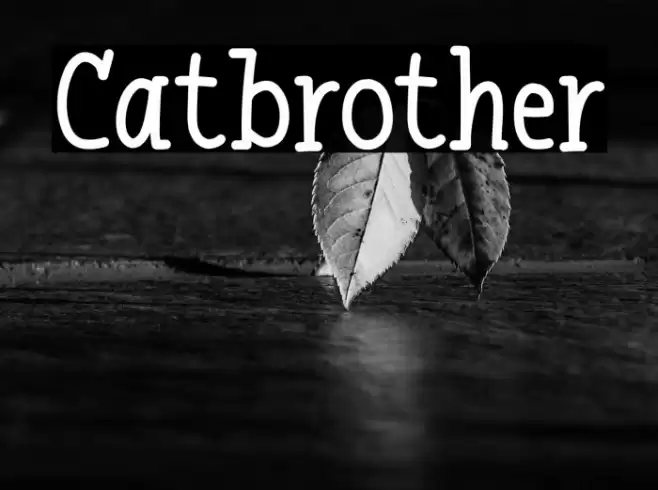 Catbrother Font examples