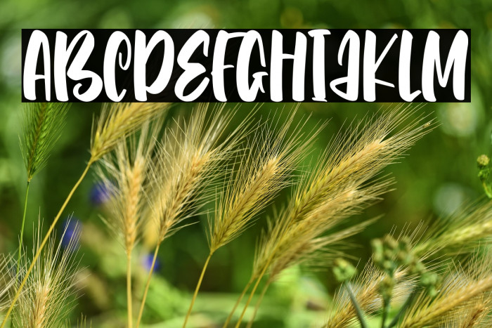 Catch Talent Example 3