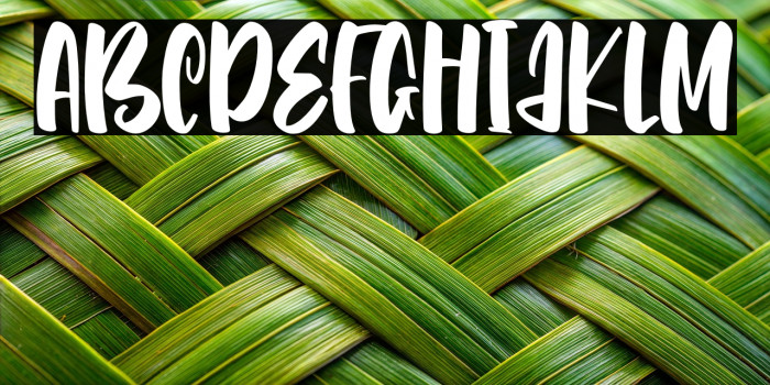 Catch Talent Example 2