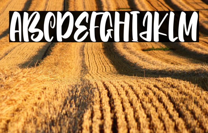 Catch Talent Example 3