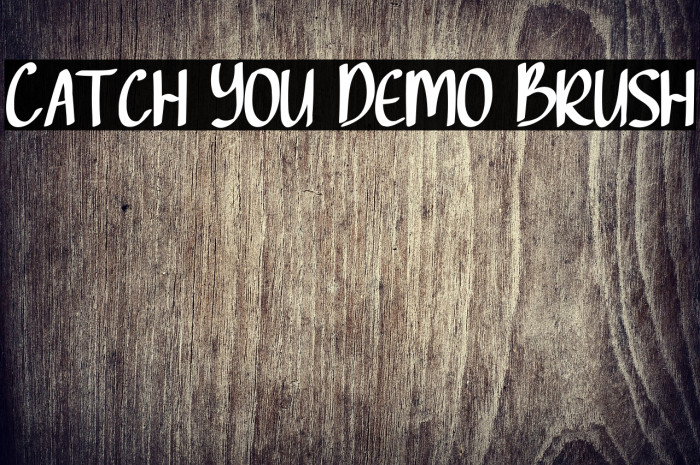 Catch You Demo Brush Example 1