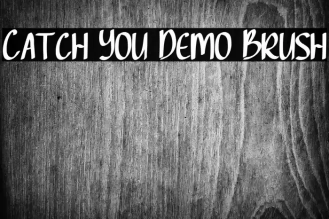 Catch You Demo Brush Font examples