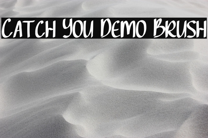 Catch You Demo Brush Example 2