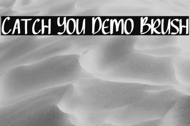 Catch You Demo Brush Font examples