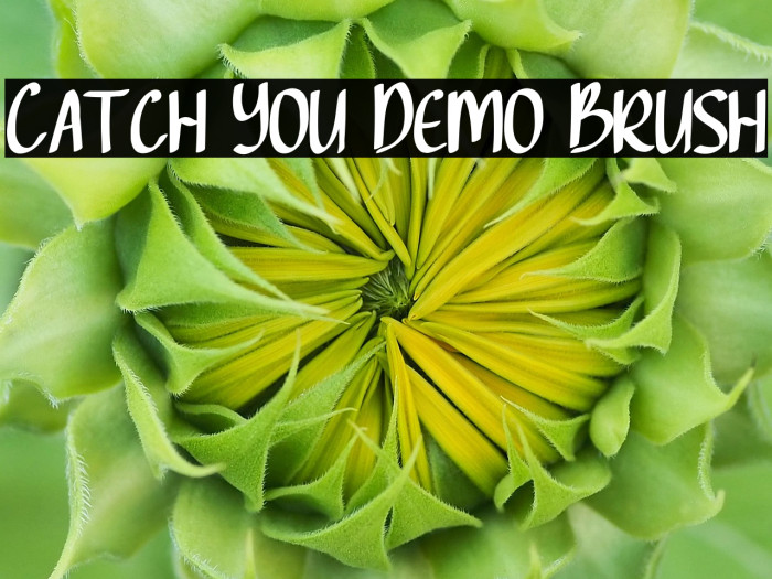 Catch You Demo Brush Example 3