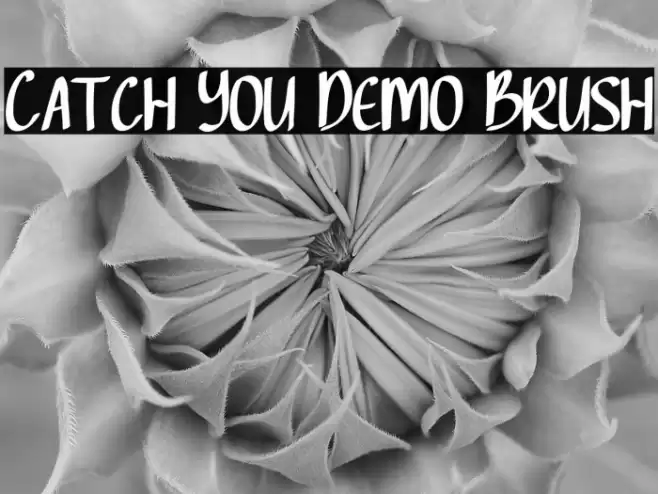 Catch You Demo Brush Font examples