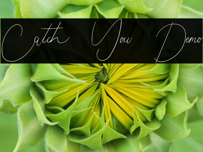 Catch You Demo Example 1