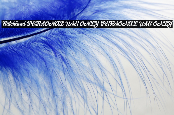 Catchland PERSONAL USE ONLY PERSONAL USE ONLY Example 1