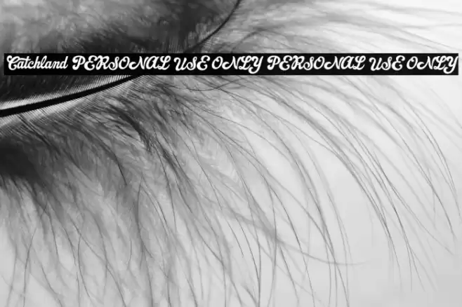 Catchland PERSONAL USE ONLY PERSONAL USE ONLY Font examples