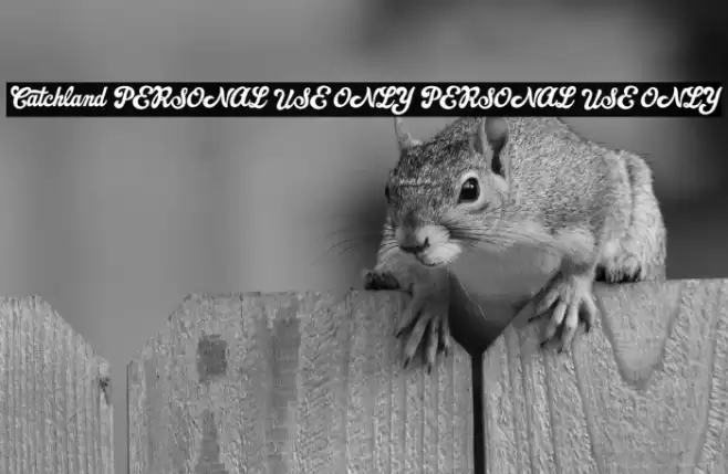 Catchland PERSONAL USE ONLY PERSONAL USE ONLY Font examples