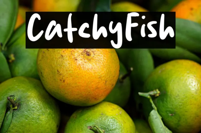 Catchy Fish Example 1