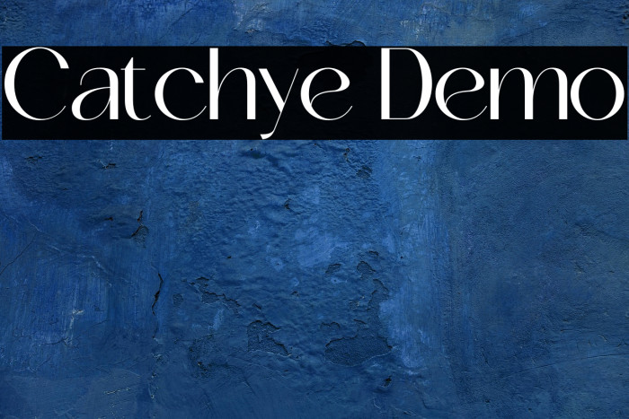 Catchye Demo Example 2