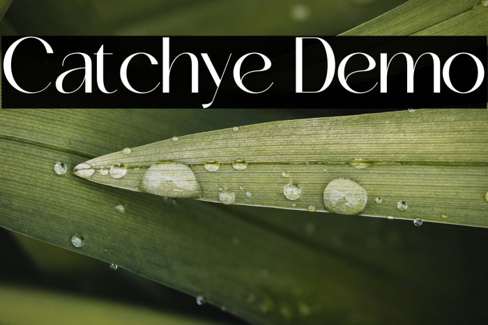 Catchye Demo Example 3