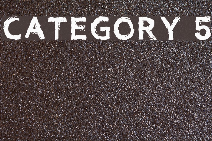 Category 5 Example 1