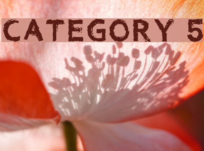 Category 5 Example 2