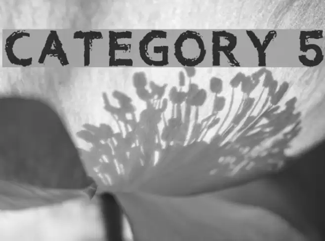 Category 5 Font examples