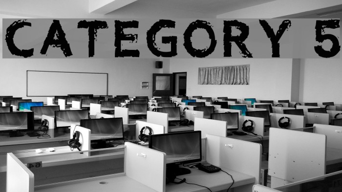 Category 5 Example 3