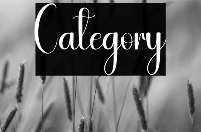 Category Font examples