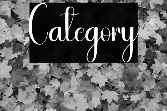 Category Font examples
