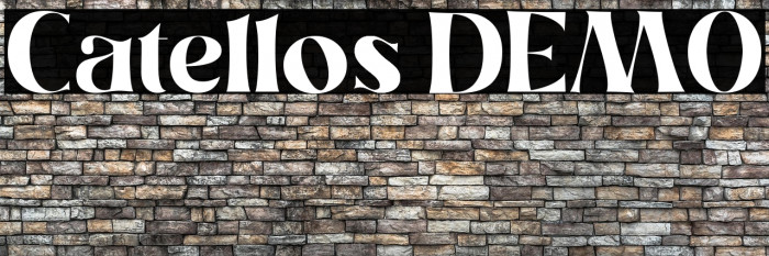 Catellos DEMO Example 1