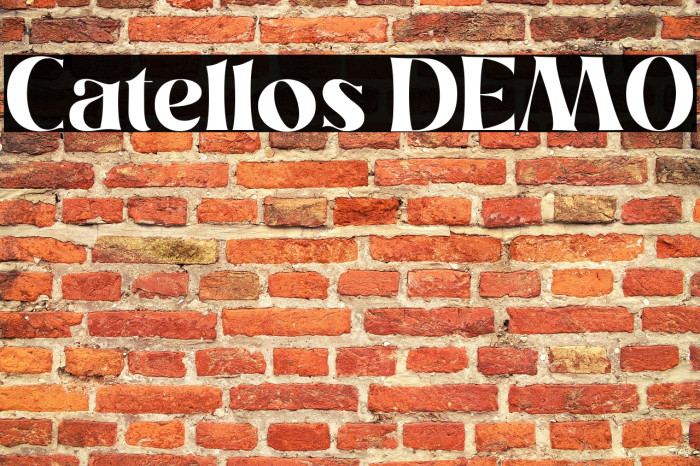 Catellos DEMO Example 3