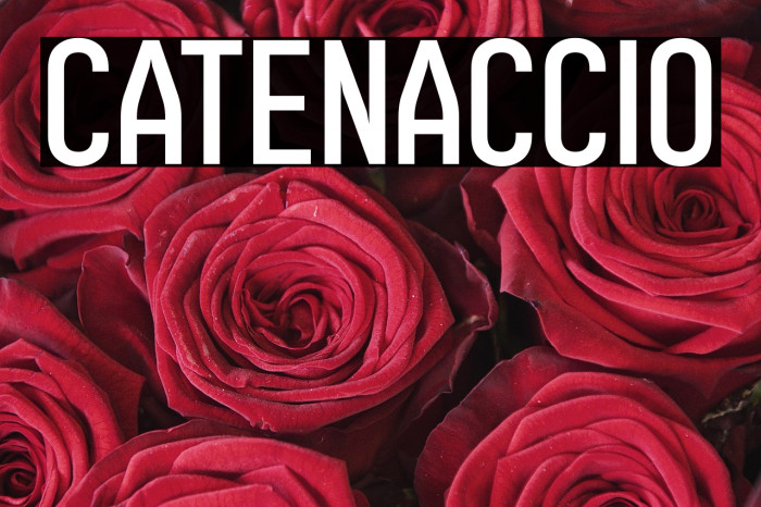 Catenaccio Example 3