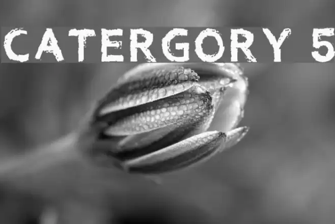 Catergory 5 Font examples