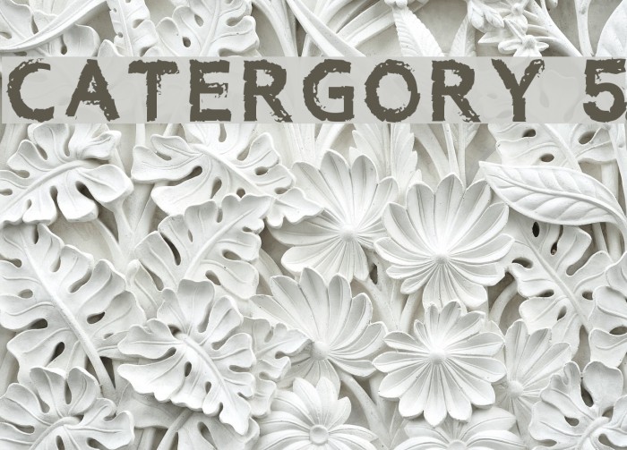 Catergory 5 Caratteri examples