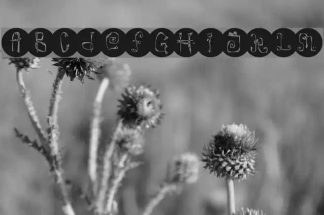 Caterpillar Font examples