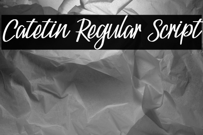 Catetin Regular Script Example 1
