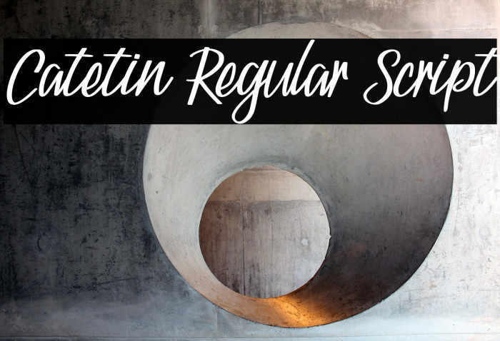 Catetin Regular Script Example 2