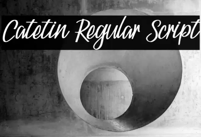 Catetin Regular Script Font examples