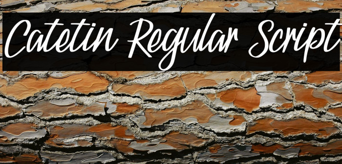 Catetin Regular Script Example 3