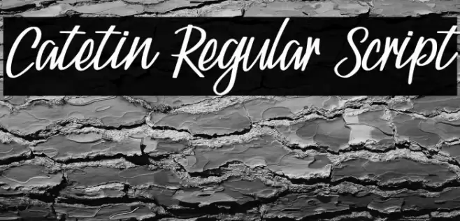 Catetin Regular Script Font examples