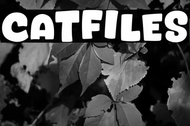 Catfiles Fuentes examples