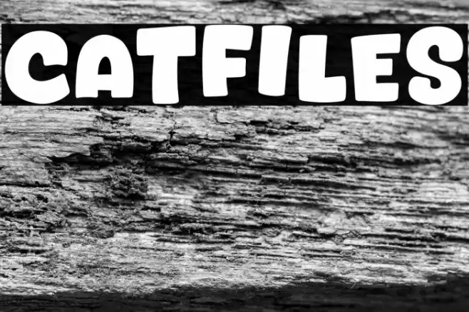 Catfiles Fuentes examples