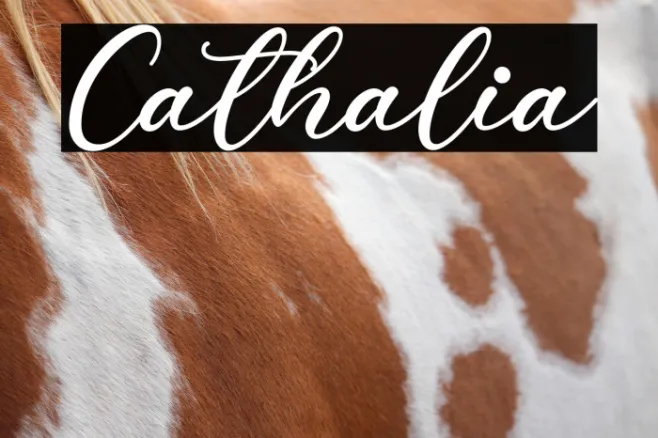Cathalia Example 3